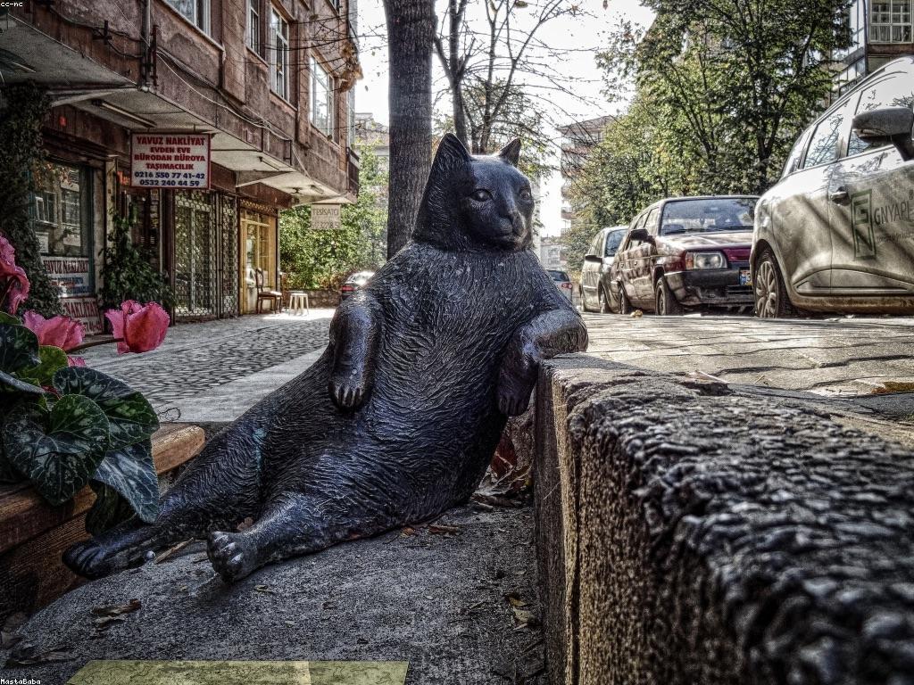 αα»αααααΆαααααααΆααα·αα·ααααααααΆααα’αααα
αΆααααααΎα